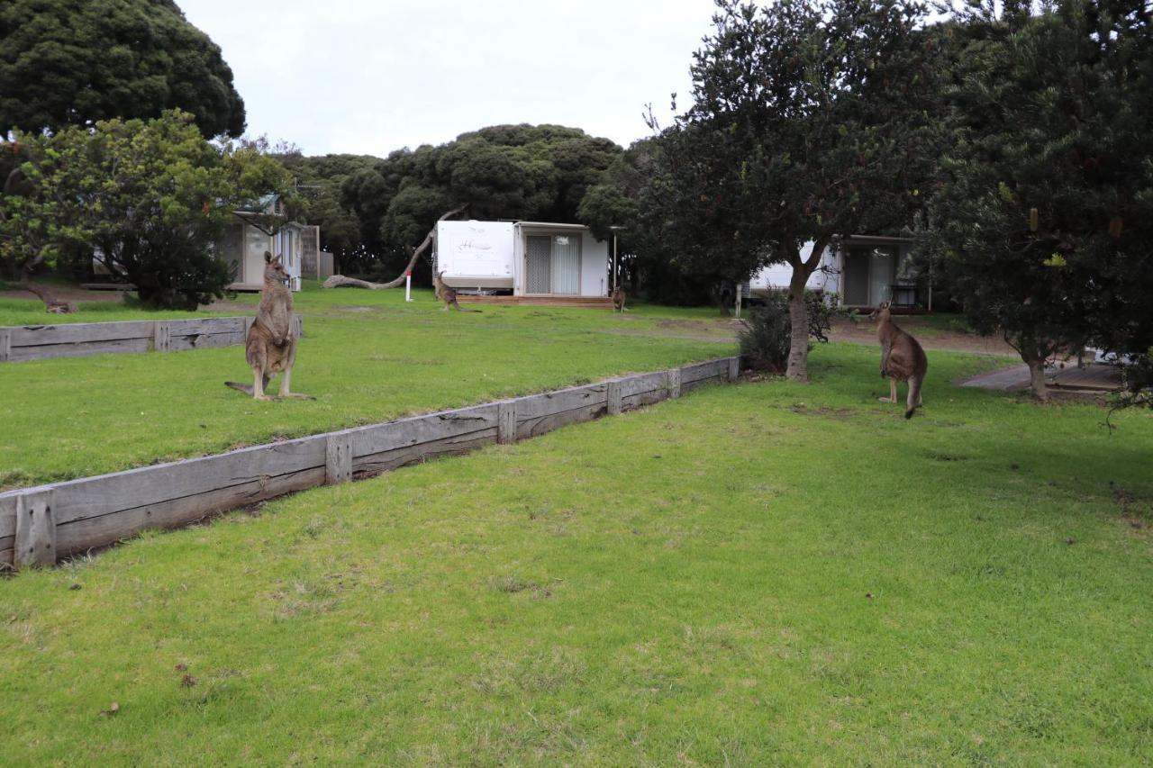 Anglesea Family Caravan Park ภายนอก รูปภาพ